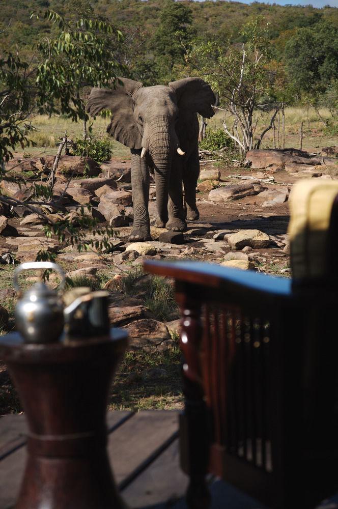 Makweti Safari Lodge Reserva de Welgevonden Exterior foto