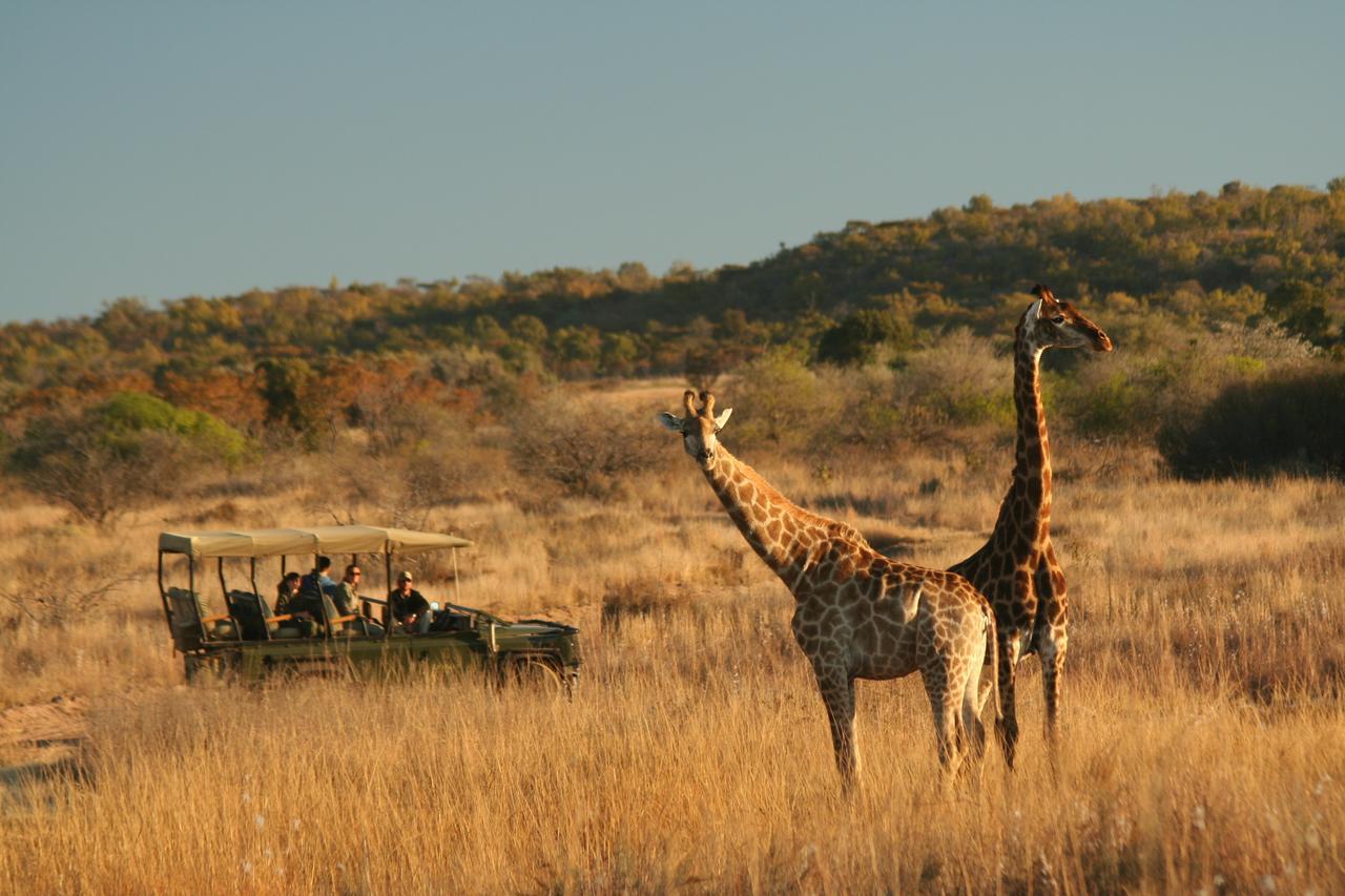 Makweti Safari Lodge Reserva de Welgevonden Exterior foto