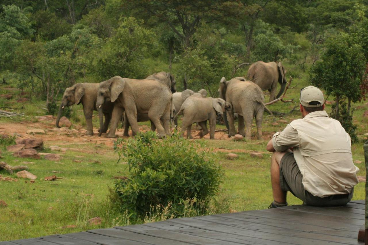 Makweti Safari Lodge Reserva de Welgevonden Exterior foto